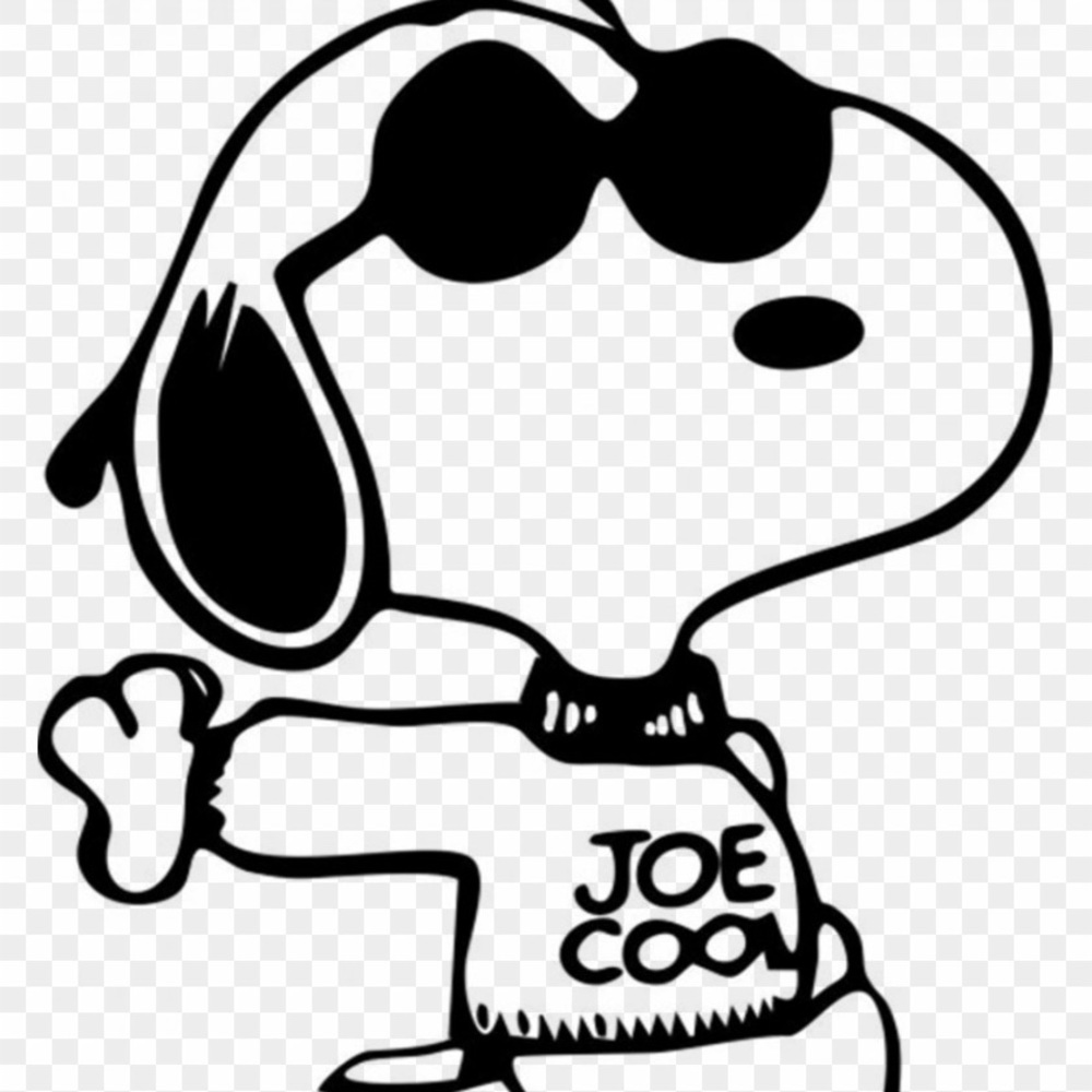 Raley - Picture 15 of 17